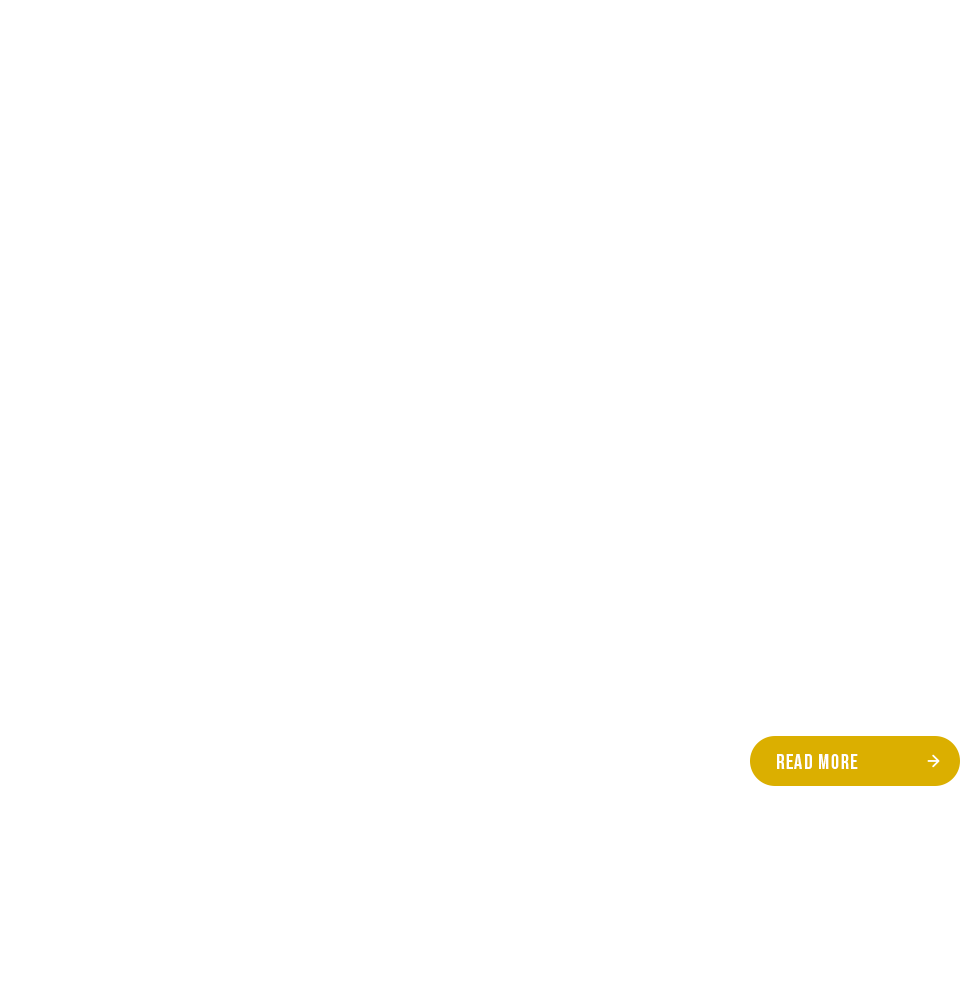 banner_business